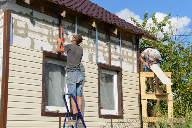 Professional Junk Removal in Elmwood Park, IL
