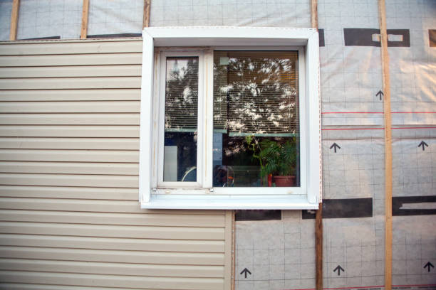 Best Property Management Cleanouts  in Elmwood Park, IL
